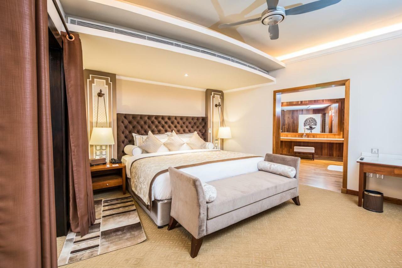 Suite Mountain View