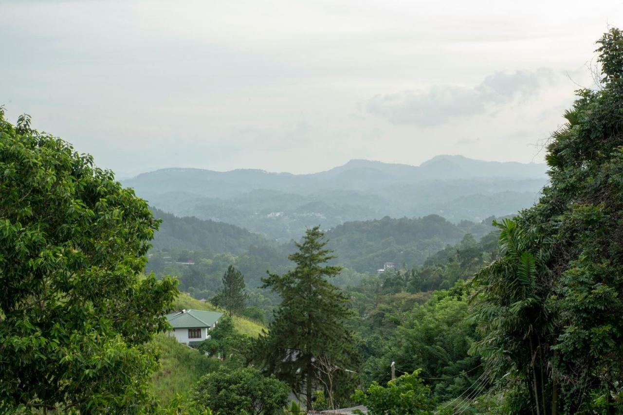 Deluxe Double or Twin Room with Mountain View,818443532:JPEG