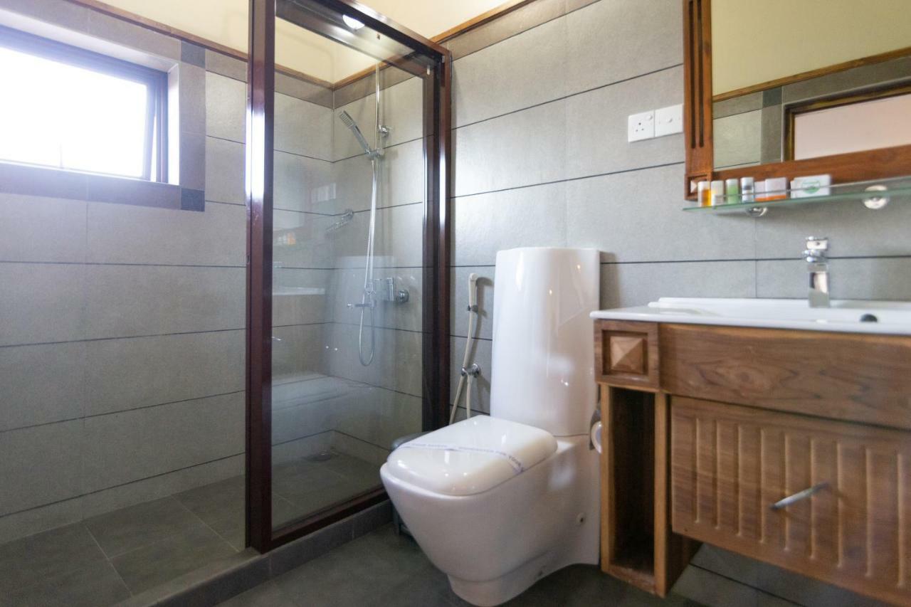 Standard Double Room,891101911:JPEG