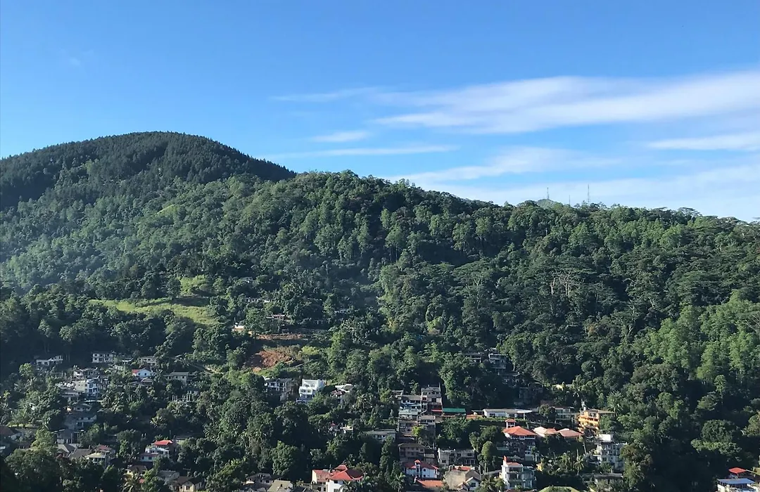 Mountain View-1