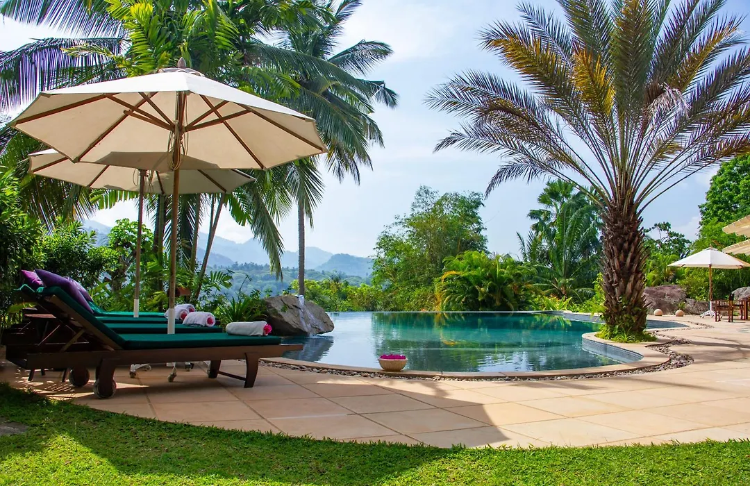 Bougainvillea Retreat-1
