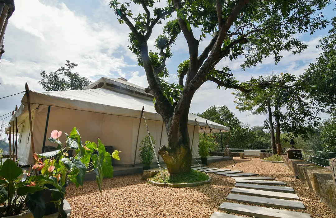 The Elephant Stables-1