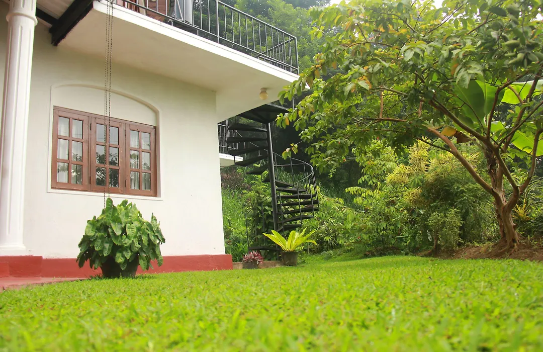 Pearl House-1
