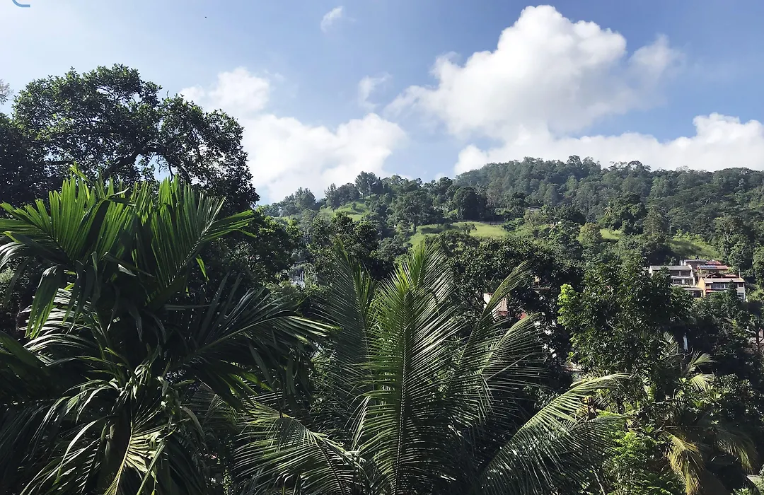 Cloud Inn Kandy Homestay - Near Temple Of Tooth - Free Pickup From Kandy City If 2Ngt-1