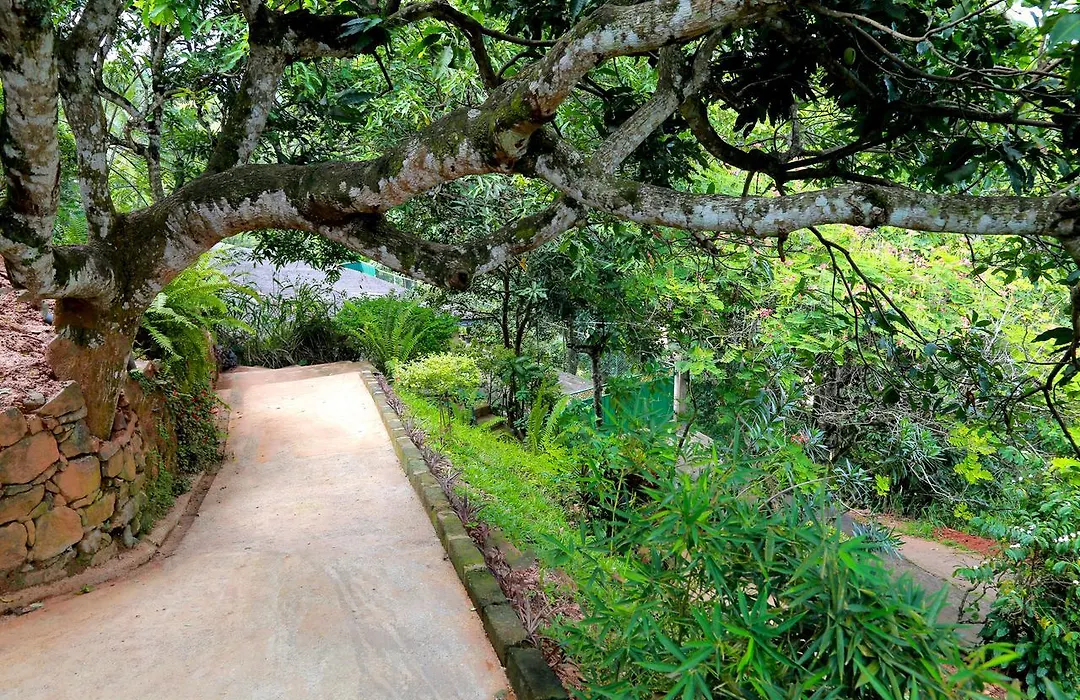 Villa Serene-1