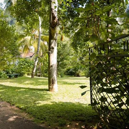 Clove Garden Kandy-3