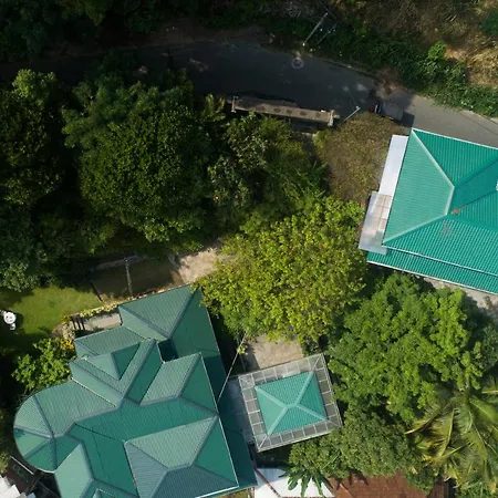 Kandy Tree Tops-2