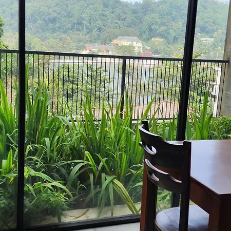 Lotus Lake Residence-3