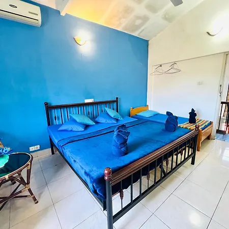 New Blue Mount View Kandy-2