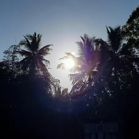 Lush Breeze-3