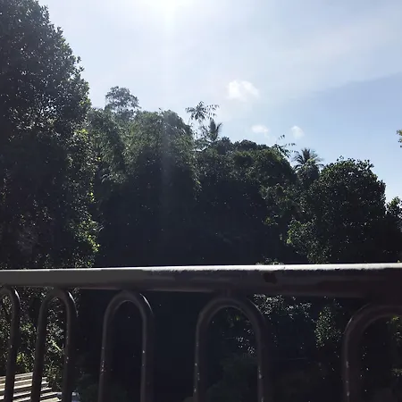 Cloud Inn Kandy Homestay - Near Temple Of Tooth - Free Pickup From Kandy City If 2Ngt-3