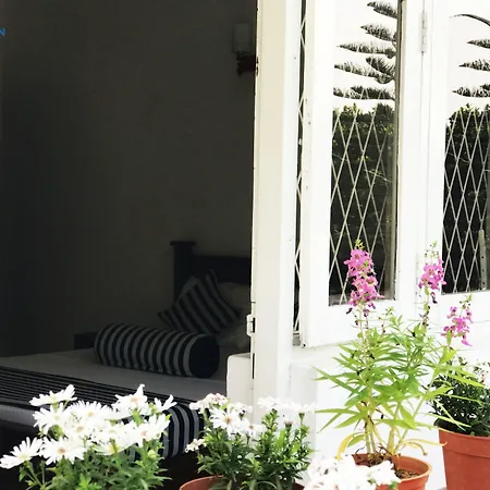 Cloud Inn Kandy Homestay - Near Temple Of Tooth - Free Pickup From Kandy City If 2Ngt-3
