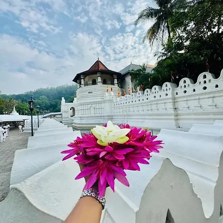 Mount Blue Kandy-3