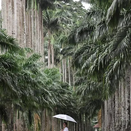 Mount Blue Kandy-2