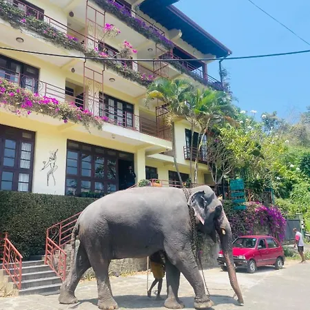Nature Walk Resort-2