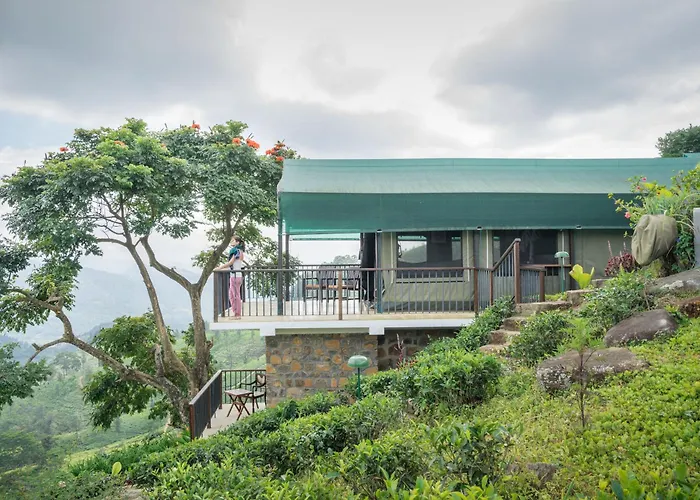 Madulkelle Tea And Eco Lodge