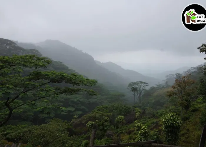 Jungle Tree House Rangala Bed & Breakfast Kandy