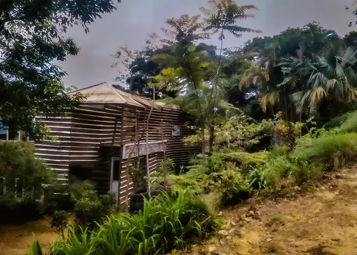 Jungle Tree House Rangala Bed & Breakfast Kandy