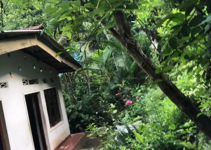 Dawn Tawn Hostel Kandy